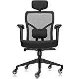 The Office Oasis Ergonomic Mesh Office Chair with Roller Blade Wheels, Black