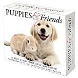 Puppies & Friends 2022 Desk Calendar