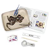 Young Scientists Frog Dissection Kit