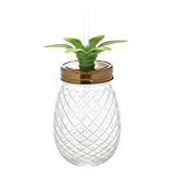 Slant Collections - Shaped Glass Jar with Lid and Straw, 15-Ounce, Pineapple - Clear