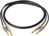 Amazon Basics 16AWG Speaker Cable Wire with Gold-Plated Banana Tip Plugs (4mm) - CL2 - 99.9% Oxygen Free - 3-Foot
