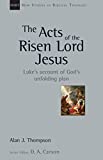 The Acts of the Risen Lord Jesus: Luke's Account of God's Unfolding Plan (New Studies in Biblical Theology Book 27)