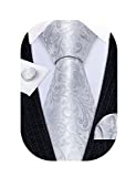 Barry.Wang Men Paisley Ties Set Gray Silver Floral Silk Business Wedding Necktie Handkerchief Cufflinks