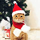 PETLESO Cat Santa Hat with Scarf -Christmas Costume Set Puppy Dog Cat Santa Hat, Red S