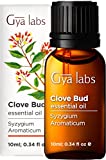 Gya Labs Clove Oil for Tooth Aches & Pain - 100% Pure and Natural Clove Essential Oil - Therapeutic Grade Clove Oil Essential Oil - Clove Oil for Hair Growth, Skin, Teeth & Gums (0.34 fl oz)
