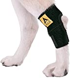 AGON Dog Canine Rear Hock Joint Brace Compression Wrap with Straps Dog for Back Leg Protects Wounds. Heals Prevents Injuries and Sprains Helps with Loss of Stability Caused by Arthritis (X-Small)