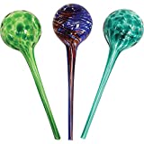 Wyndham House Plant Watering Globe Set, Set of 3, Indoor & Outdoor, Colorful Multicolored Hand-Blown Glass for Everyday Use