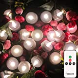 Topstone LED Tea Light,Flickering Flameless Candle with Remote Control,Long Lasting Battery Operated LED Tealights Candle with Timer,for Seasonal &Festival Celebration,Pack of 12(Warm White)
