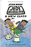 A New Class (Star Wars: Jedi Academy #4)