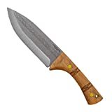 Condor Pictus Knife, Brown