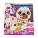 Pets Alive Poppy The Booty Shakin’Pug – Interactive Dancing Plush Puppy by ZURU, Multi