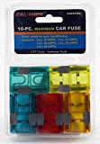 10 NEW MAXI Car Truck Boat RV Fuse 20,30,40,50,60 AMP