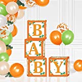 Sinasasspel Little Cutie Baby Shower Balloon Boxes Decorations 1st Birthday Party Orange Backdrop Favor Including Clementine Party Boxes Block, Orange Peach Latex Balloons, Eucalyptus Leaves Ivy