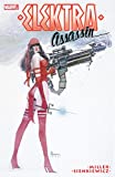 Elektra: Assassin (Elektra: Assassin (1986-1987))