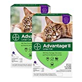 Bayer Advantage II Flea Prevention for Large Cats 6 Doses, 6 Months Supply 2 Pack Bundle