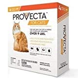 Provecta Advanced for Cats Over 9 Lbs. (4 dose), Orange
