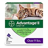 Advantage II 2-Dose Flea Prevention and Treatment for Large Cats, Over 9 Pounds