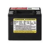 ACDelco AUX12 Professional Automotive AGM JIS 12BS Battery