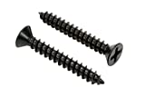 #8 X 2'' Black Xylan Coated Stainless Flat Head Phillips Wood Screw (25 pc) 18-8 (304) Stainless Steel Screw by Bolt Dropper