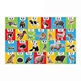 Melissa & Doug Animal Alphabet Floor Puzzle (Easy-Clean Surface, Promotes Hand-Eye Coordination, 24 Pieces, 36” L x 24” W)