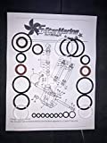 Yamaha Tilt Trim Showa Motor Seal Kit 1997 & Up 115225FS Fast Strike Power Trim Tilt115HP 150HP 175HP 200HP (Some 225HP 250HP) Showa, 63P-43800-00-4D 64E-43822 and More O-riing FSM026