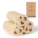 Natural Loofah, 100% Organic Shower Loofah Sponge Exfoliating Loufa Sponge, Bath Body Scrubbers for Removing Dead Skin, No Bleaching & Eco Friendly Skin Care - 3 luffa Pack