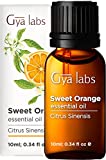 Gya Labs Sweet Orange Essential Oil for Diffuser - 100% Pure and Natural Therapeutic Grade Sweet Orange Essential Oils for Skin Use - Sweet Orange Oil Essential Oil for Aromatherapy (0.34 fl oz)