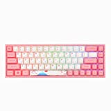 EPOMAKER AKKO 3068B World Tour R2 65% Hot-Swap 2.4Ghz Wireless/Bluetooth/Wired Mechanical Keyboard with RGB Backlight, Dye-sub PBT Keycaps for Gamers/Mac/Win (AKKO CS Jelly Pink, 3068B World Tour R2)