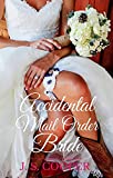 Accidental Mail Order Bride (The Brothers at Horseshoe Ranch Book 1)