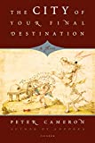 The City of Your Final Destination: A Novel