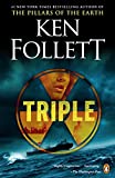 Triple: A Novel