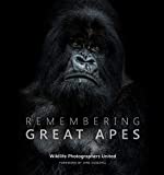 Remembering Great Apes (Remembering Wildlife)