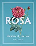 Rosa: The Story of the Rose