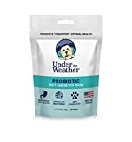 Under the Weather Pets | 60 Soft Dog Chew Supplements with Probiotics | Supports Appetite to Help Maintain Health & Right Balance of Beneficial Live (Viable) Bacteria in Gut