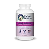 Under the Weather Hip & Joint Support for Dogs - Mobility Dog Supplement with Glucosamine, Chondroitin, MSM, Green Lipped Mussel - 60 Chewable Tablets, Ideal for Mature, Active Dogs - Liver Flavor