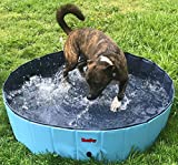 BINGPET Large Dog Swimming Pool Pet Bathtub Collapsible Puppy Bath Tub 47" 12"