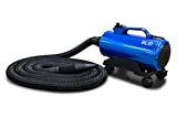 BLO Car Dryer AIR-GT - Quickly Dry Your Entire Vehicle After a Wash - No More Drips, No More Scratches- Adjustable Air Speed - Extra Long Hose - Rotating Wheels