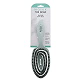 BioSilk for Dogs Eco-Friendly Boar Hair Bristle Brush in Mint Green | Easy to Hold Ergonomic Handle Dog Brush for Shedding | Best Pet Brush for Dog Grooming