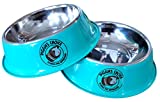 Piggies Choice Non-Tip Metal Guinea Pig Pellet Feeding Bowls Matches The Space House Guinea Pig Hidey (Two Bowls, Teal)