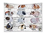 Piggies Choice Guinea Pig Breed Wall Hanging Tapestry Depicting all Breeds (28 x 40 inches)
