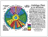 IRIDOLOGY CHART of EYE Reflexology (Rainbow Coded) in the Inner Light Resources Rainbow Cards & Charts Series. 8.5 x 11 in. (Small Poster/ Large Card)