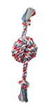Mammoth Pet Products Flossy Chews Color Monkey Fist Ball with Rope Ends, Large, 18-Inch, multi (20096F)