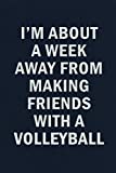 I'm About A Week Away From Making Friends With A Volleyball: 2020 Pandemic Funny Blank Lined Journal Coworker Notebook