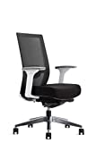 EasyErgo Apollo Ergonomic Chair - Ergo Mesh Design for Computer Desk Work - Comfortable Office Chair (Comet)