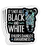 Ehlers Danlos Syndrome Black and White EDS Awareness Gift Decorations - 4x3 Vinyl Stickers, Laptop Decal, Water Bottle Sticker (Set of 3)