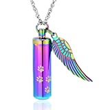 shajwo Cremation Jewelry Paw Print Urn Necklaces for Human Pet Ashes Cylinder Urn Pendant Keepsake Memorial Ash Locket Holder Necklace for Men Women,Rainbow