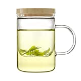 Emoi Glass Tea Cup with Infuser and Lid, 15oz/450ml Tea Mug with Tea Steeper and Bamboo Lid, Easy to Use, Ideal for Tea Lover to Make a Good Cup of Tea at Home, Office or Traveling