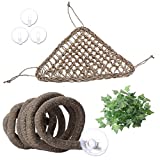 AUBBC Bearded Dragon Hammock, 100% Natural Seagrass Triangular Lizard Lounger with Jungle Climber Vines Reptile Leaves Hooks for Geckos, Anoles, Snakes and More (12.5 x16.5 Inch)