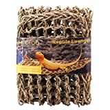 Aiicioo Lizard Hammock Lounger - Bearded Dragon Hammock 100% Natural Seagrass Fibers Ideal for Anoles, Bearded Dragons Geckos, Iguanas & Hermit Crabs (X-Large)