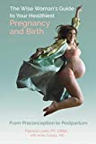 The Wise Woman's Guide to Your Healthiest Pregnancy and Birth: From Preconception to Postpartum